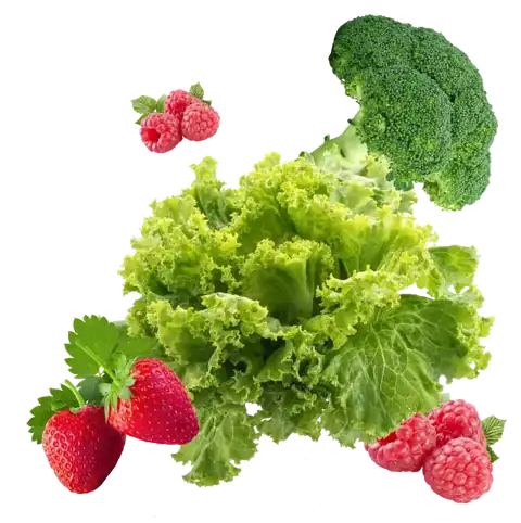 Selada, brokoli, stroberi dan raspberry