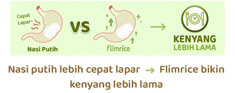 Ilustrasi lambung: nasi putih cepat lapar, Flimrice bikin kenyang lebih lama